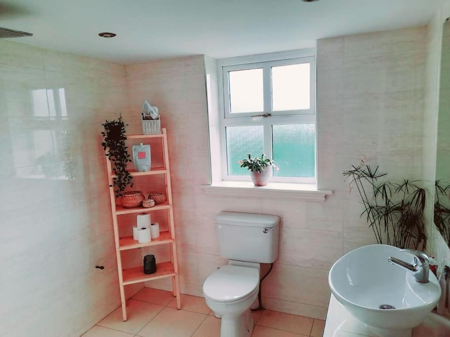 Conveniently Located House To Enjoy All Of Kerry Tralee Dış mekan fotoğraf