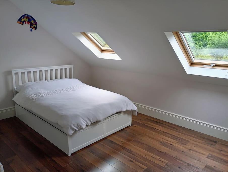 Conveniently Located House To Enjoy All Of Kerry Tralee Dış mekan fotoğraf